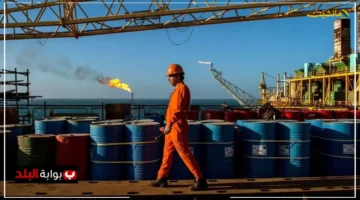 نصف مليون برميل يوميًا.. جولدمان ساكس تكشف عن تطور جديد في مخزونات الصين النفطية 1